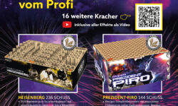 Silvesterfeuerwerkskörper in Wernigerode kaufen